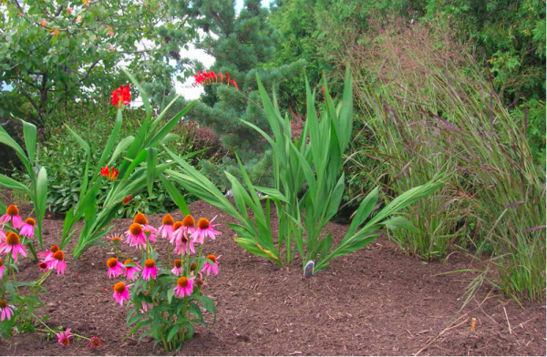 Clifton Park Landscaping Company
